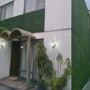 decoracion muro verde cancun