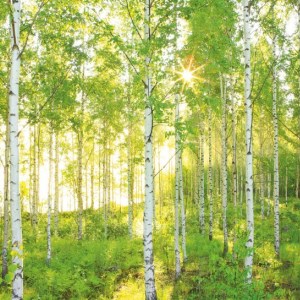 papel tapiz playa cancun