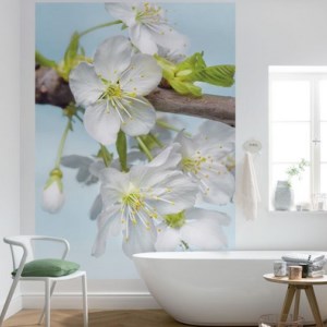 papel tapiz playa cancun