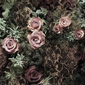 papel tapiz playa cancun