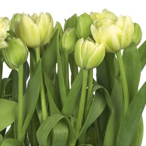 papel tapiz playa cancun